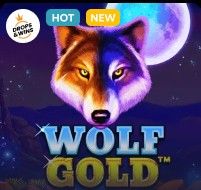 Wolf Gold at Vegas Now
